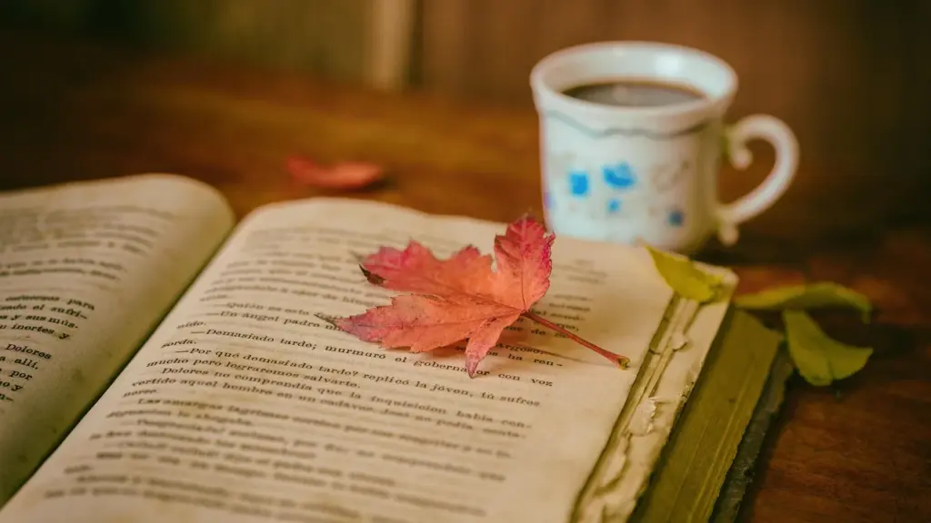If You Loved After by Anna Todd, Try These Books and Movies Next