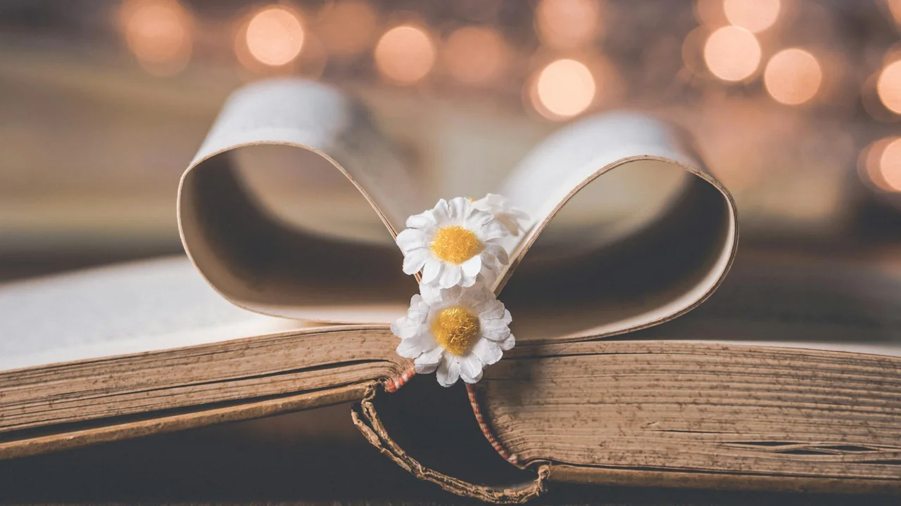 An open, aged book with two white daisies resting on its pages, with soft bokeh lights in the background