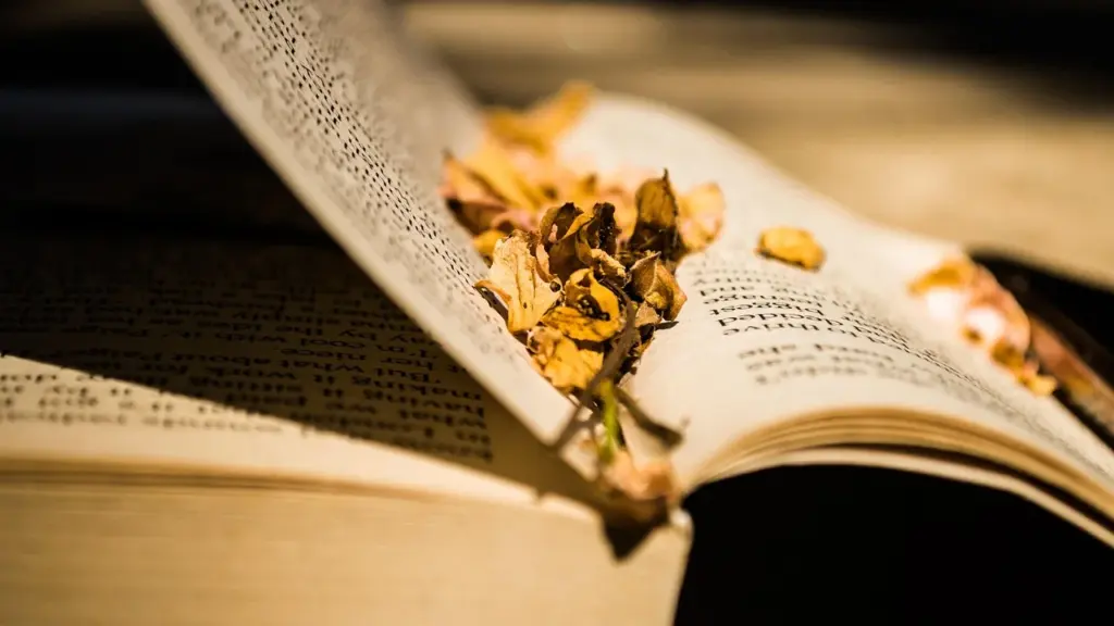 Find Your Next Favorite Book With Our Personalized Quiz