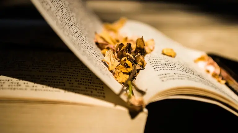 Open book with dried leaves resting on its pages under warm lighting.
