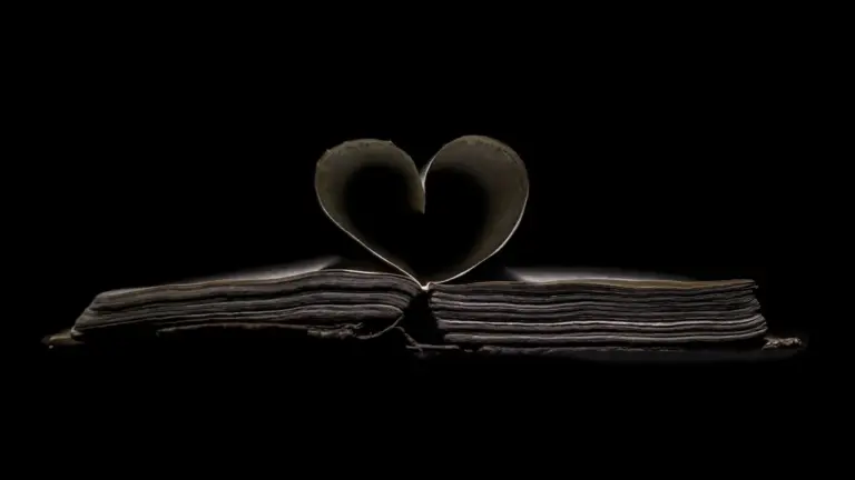 Open book with pages curled into a heart against a black background