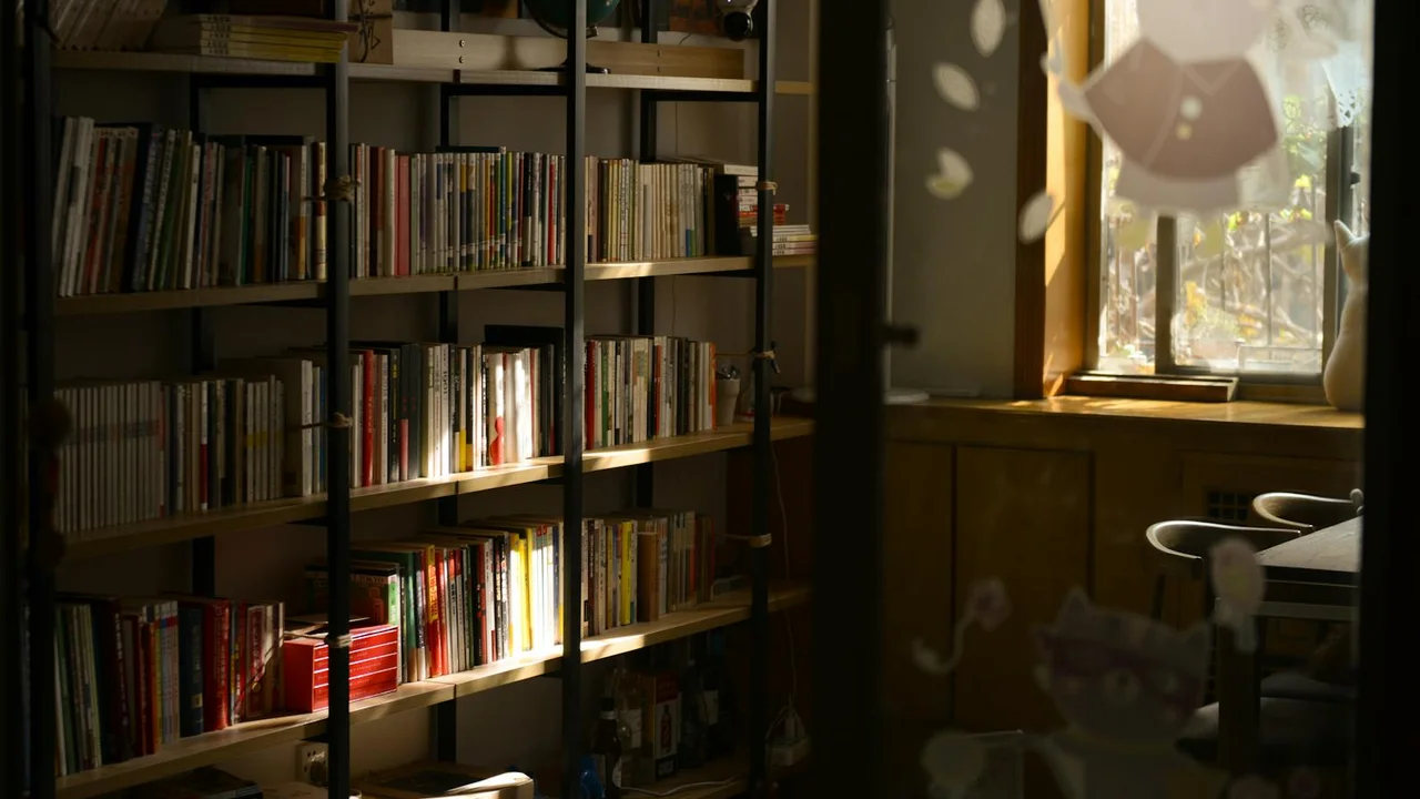 A warm, sunlit library with tall shelves full of books and a window to the right.