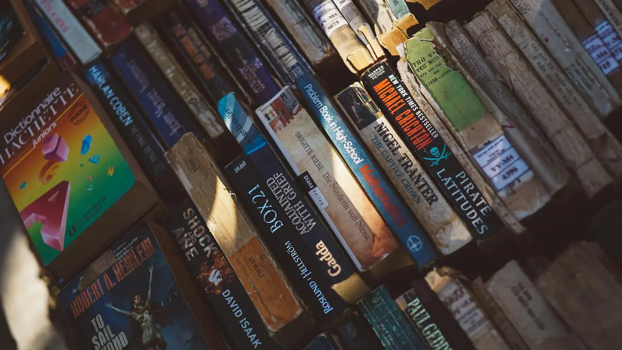 A diagonal view of a bookshelf filled with thriller and adventure novels on their spines.