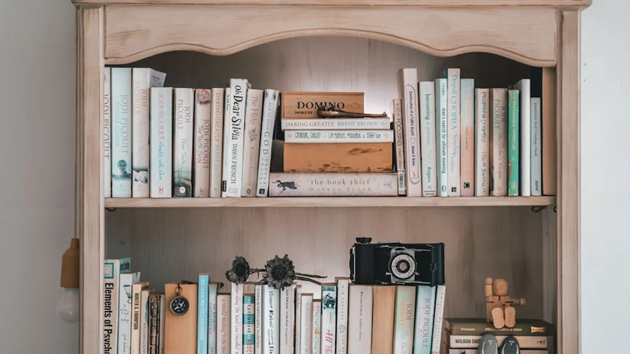Cozy wooden bookshelf with pastel-colored book spines and a vintage camera resting on the middle shelf.