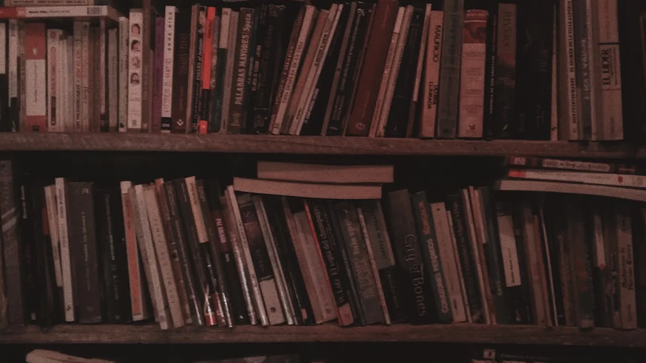 Dimly lit library shelves filled with mystery novels and crime series