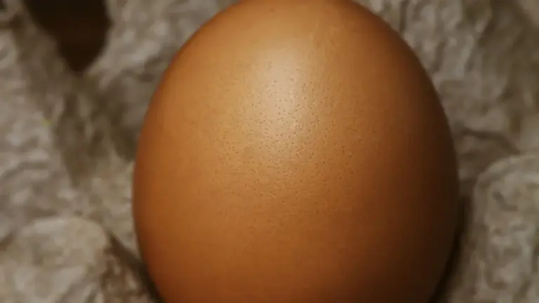 Close-up of a brown egg resting on a textured beige surface.