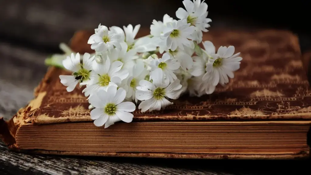 Fantasy Romance Books to Read After A Court of Thorns and Roses