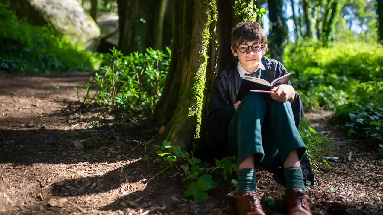 A young reader wearing glasses sits against a tree in a sunlit forest, deeply engrossed in a book.