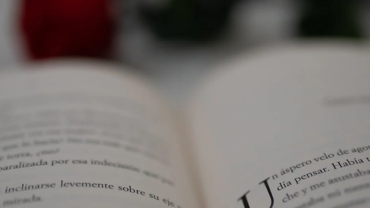 Open book with visible text, shallow depth of field, cozy reading vibe.