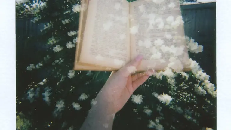 A hand holds an open book outdoors, surrounded by white blossoms and greenery.