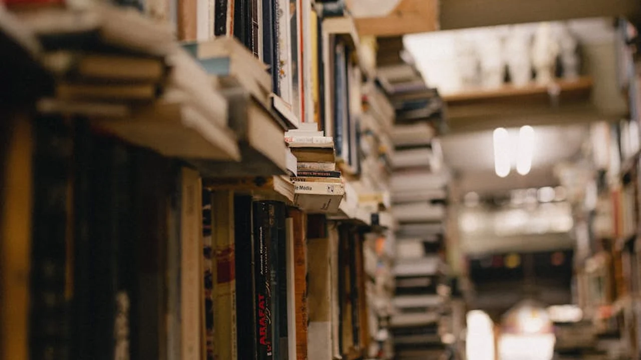 Shelves filled with dusty books in a quiet library, suggesting dark psychological twists.