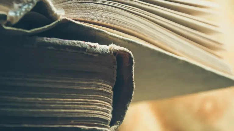 Close-up of aged book bindings and pages, evoking classic fantasy adventures.