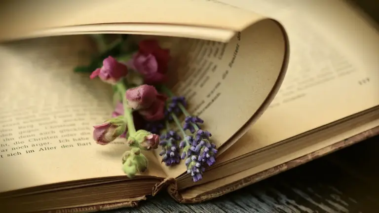 An open old book with a sprig of dried pink and purple flowers resting on its pages.