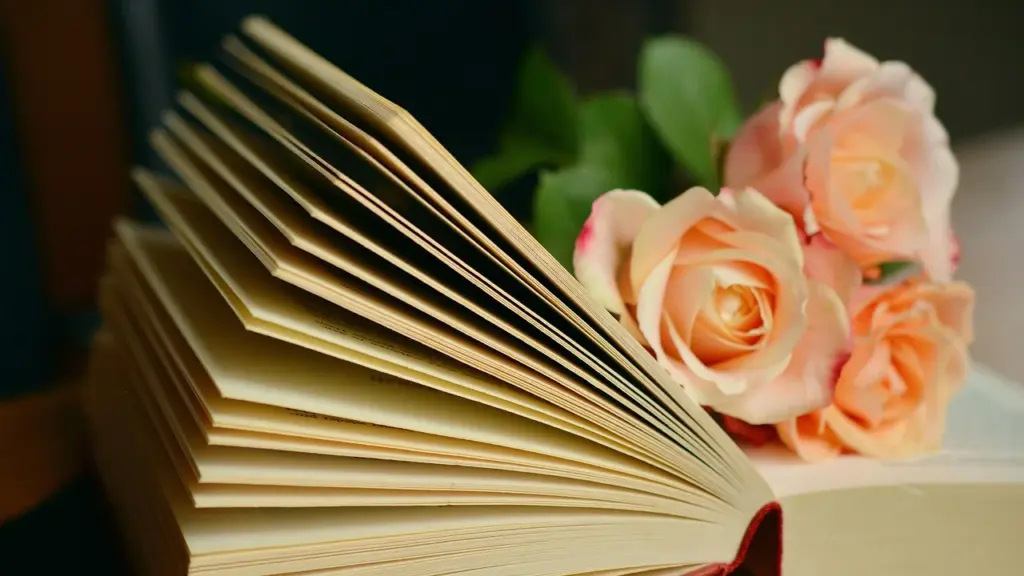 Books Like The Next Mrs. Parrish: Page-Turners About Twisted Marriages and Comeuppance