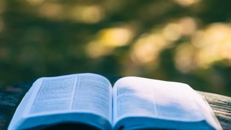 Open book resting on a weathered wooden bench with a blurred green and yellow background