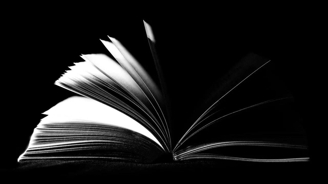 Open book with pages fanned against a stark black background.