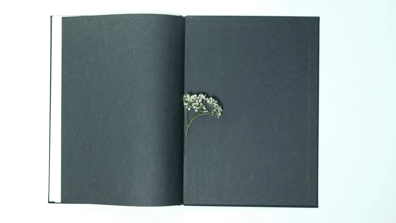 An open book with dark, blank pages and a small white flower pressed between the pages on a white background.