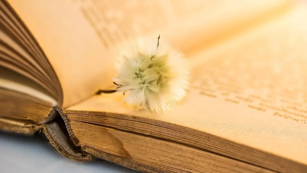 Find Your Next Magical Journey: Fantasy Series Like Harry Potter, Lord of the Rings, and Narnia