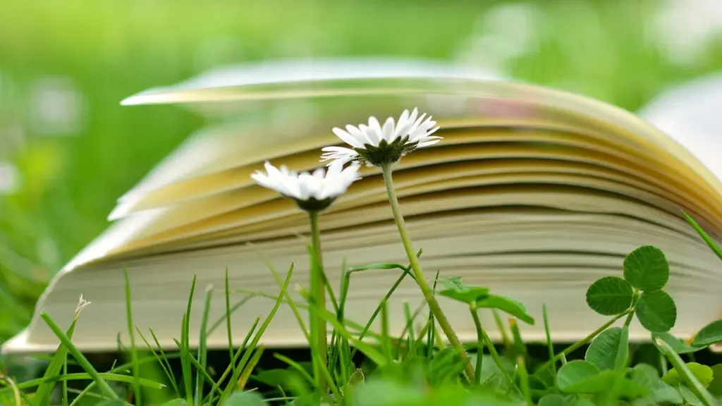 Books That Explore Unconventional Ideas and Data: Your Next Reads After ‘Thinking, Fast and Slow’
