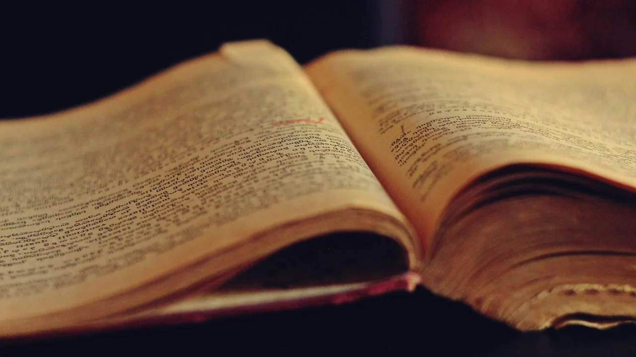 Close-up of an open, aged book with yellowed pages, evoking a moody, atmospheric feel for dark fiction.