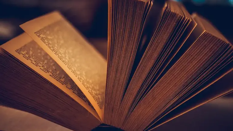 An opened book with pages fanned out, bathed in warm light