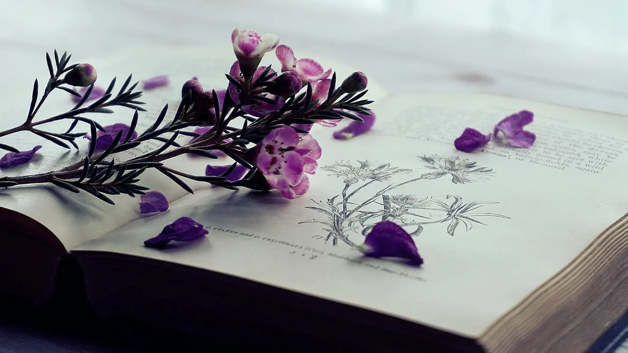 An open book showing botanical sketches, with purple flowers and petals laid across the pages.