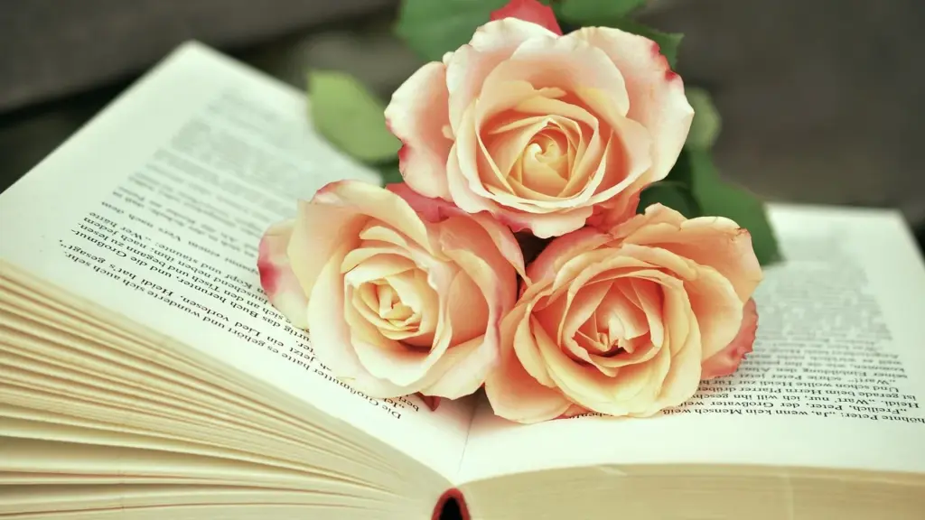 Free Steamy Romance Books Like Fifty Shades of Grey