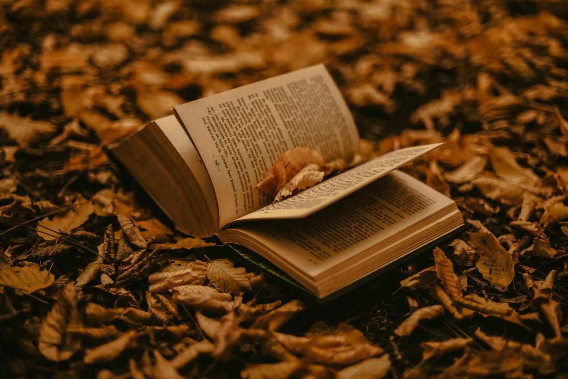 Suggest Boo About Us - Suggest Me Book