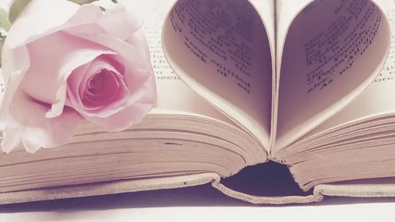 An open book with pages folded into a heart shape, beside a pink rose