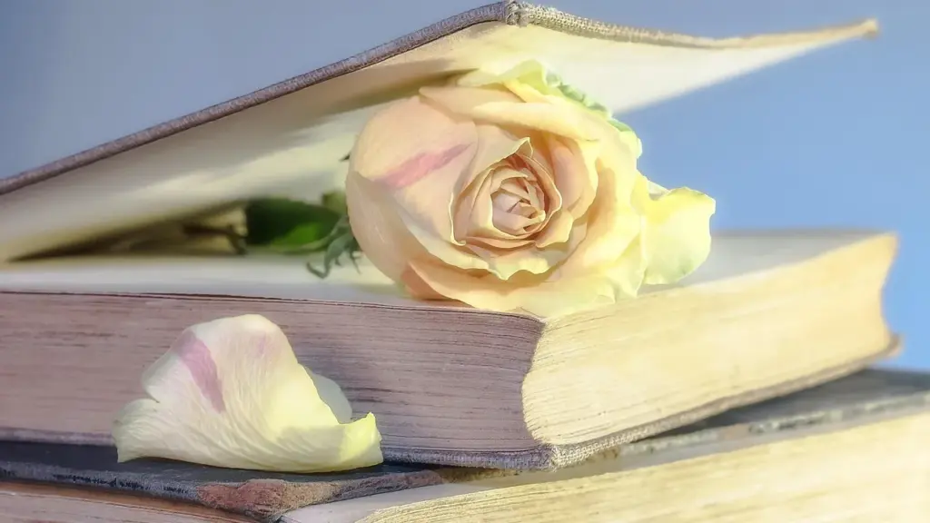 Love Stories Like Yours: Book Recommendations to Fall For
