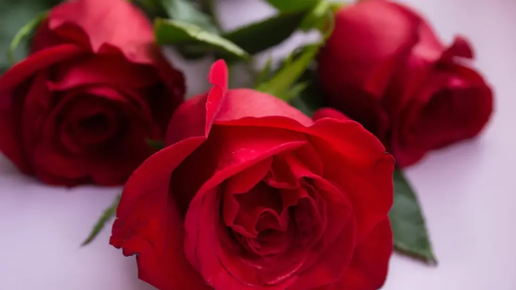 River Romance & Drama: Novels Where Love Flows Like Water