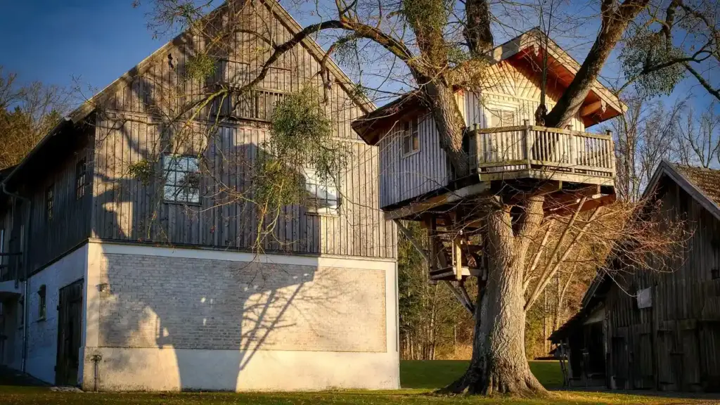 Fantastic Books Like Magic Tree House for Kids Who Love Trees, Forests & Time Travel