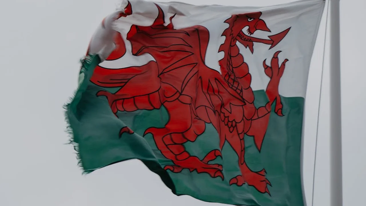 Red dragon on a green-and-white flag fluttering in the wind.
