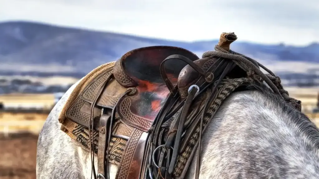 Books Like Yellowstone: Modern Western Family Sagas for Your Reading List
