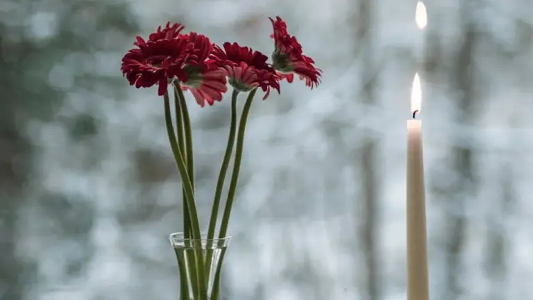 Red chrysanthemums in a tall glass vase beside a lit candle, with a soft, frosted background suggesting winter.